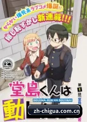 功能完善